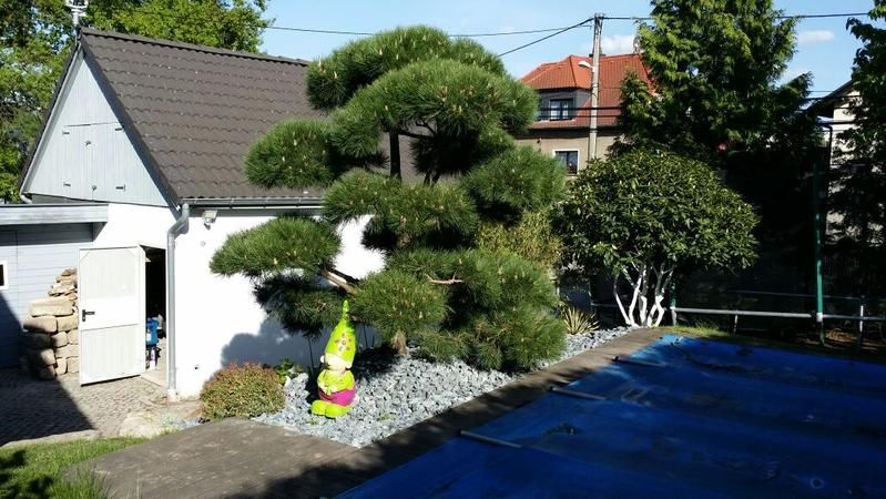 Referenzen GartenBaumschule Kreiser in Kreischa