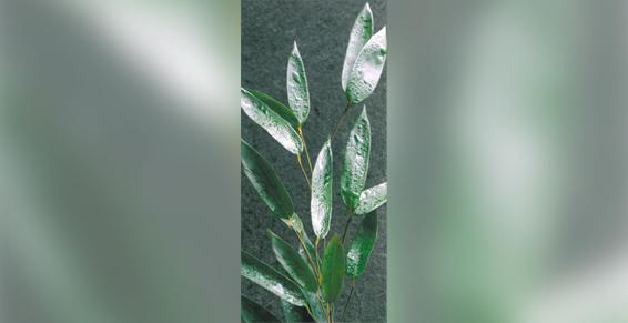 Soins esthétiques à domicile AT HOME Sandrine Frimat à Merlimont