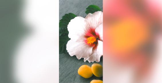 Esthétique à domicile AT HOME Sandrine Frimat dans le Pas-de-Calais