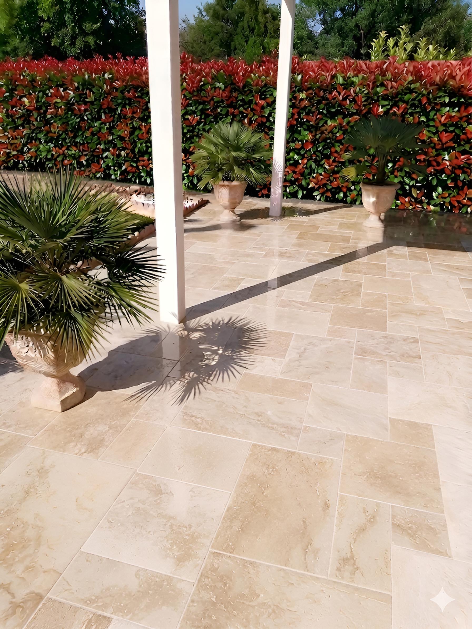 Une terrasse carrelée de dalles de pierre beige, agrémentée de trois palmiers en pot, se détache sur le fond d'une haie luxuriante aux feuilles rouges.