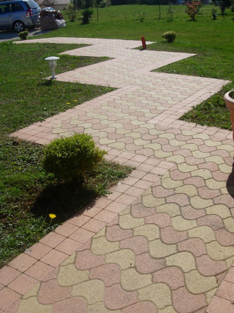 Allée et terrasse pavées