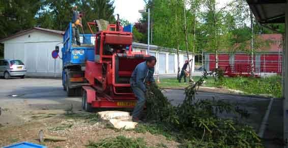 elagage abattage - Abattage arbres DRB