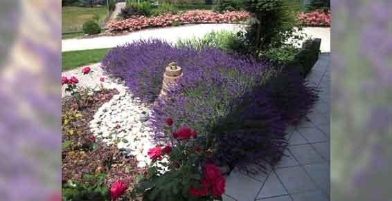 décoration paysagère