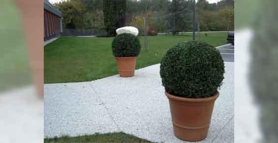 elagage abattage - arbres