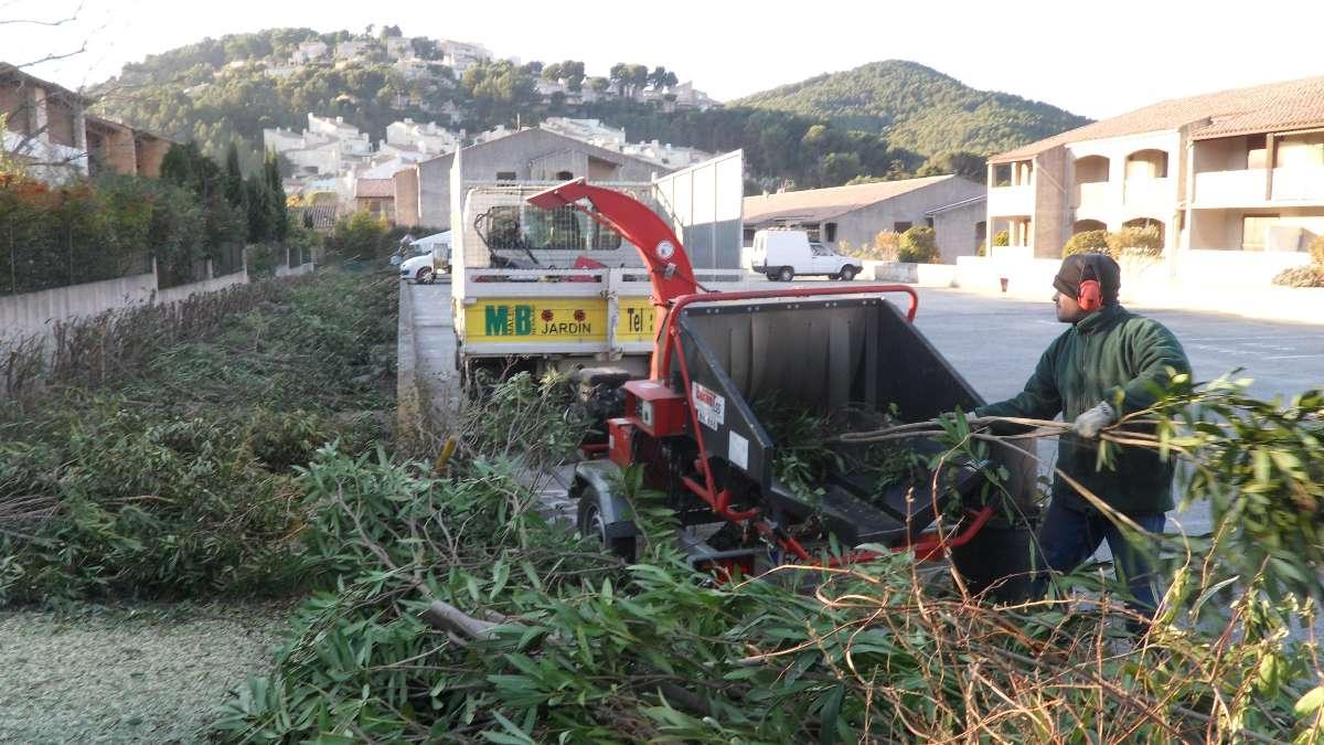 Élagage et abattage en milieu urbain