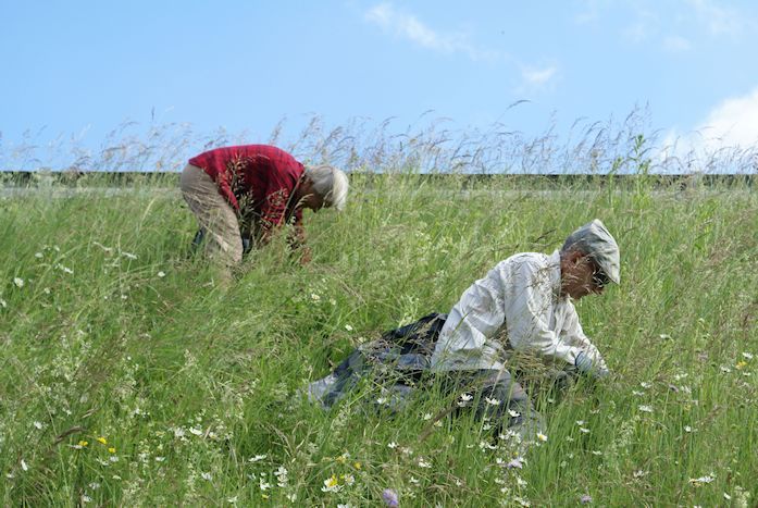 Naturschutzverein Ebnat-Kappel und Nesslau