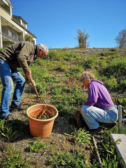 Naturschutzverein Ebnat-Kappel und NesslauNaturschutzverein Ebnat-Kappel und Nesslau