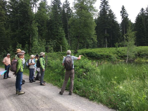 Naturschutzverein Ebnat-Kappel und Nesslau