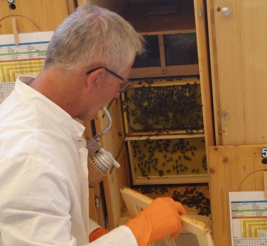 Naturschutzverein Ebnat-Kappel und Nesslau