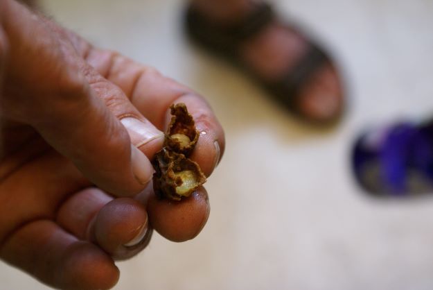 Naturschutzverein Ebnat-Kappel und Nesslau