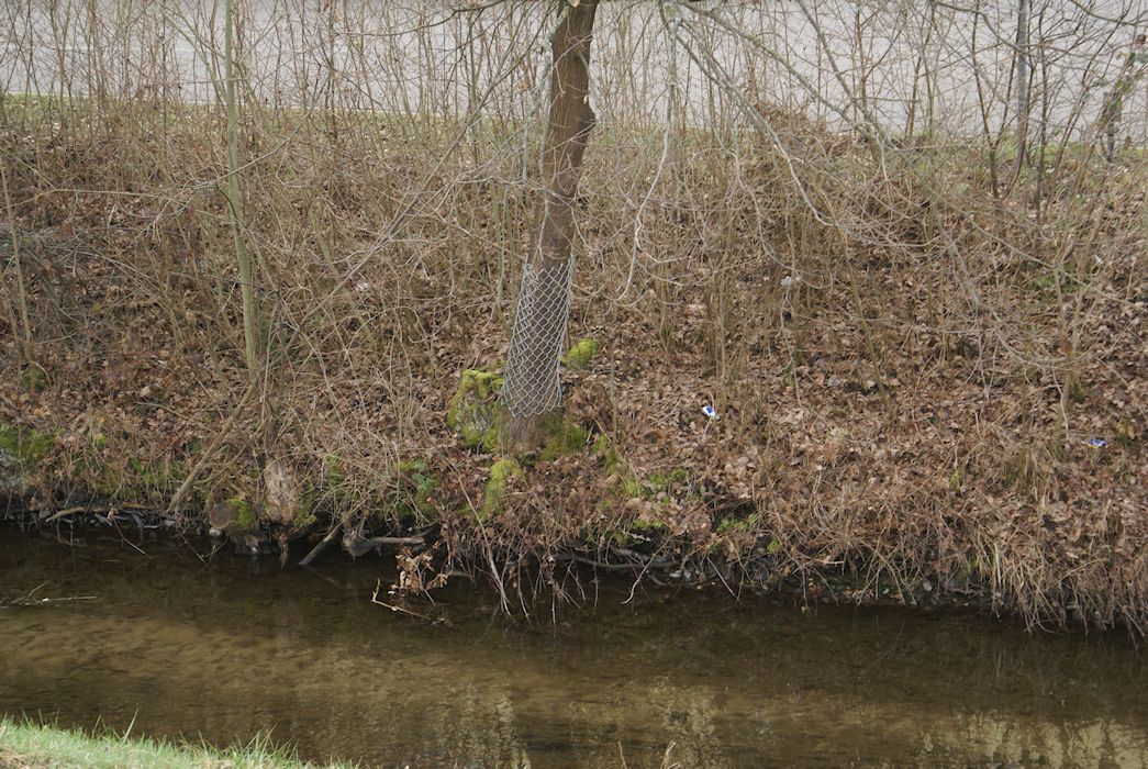Naturschutzverein Ebnat-Kappel und Nesslau