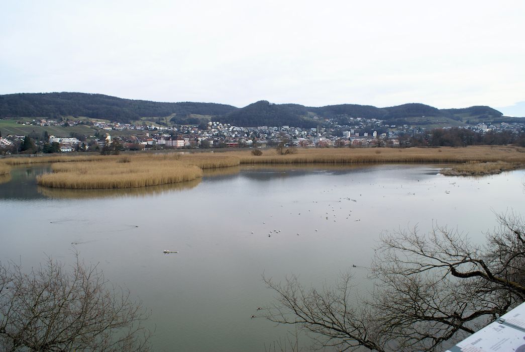 Naturschutzverein Ebnat-Kappel und Nesslau
