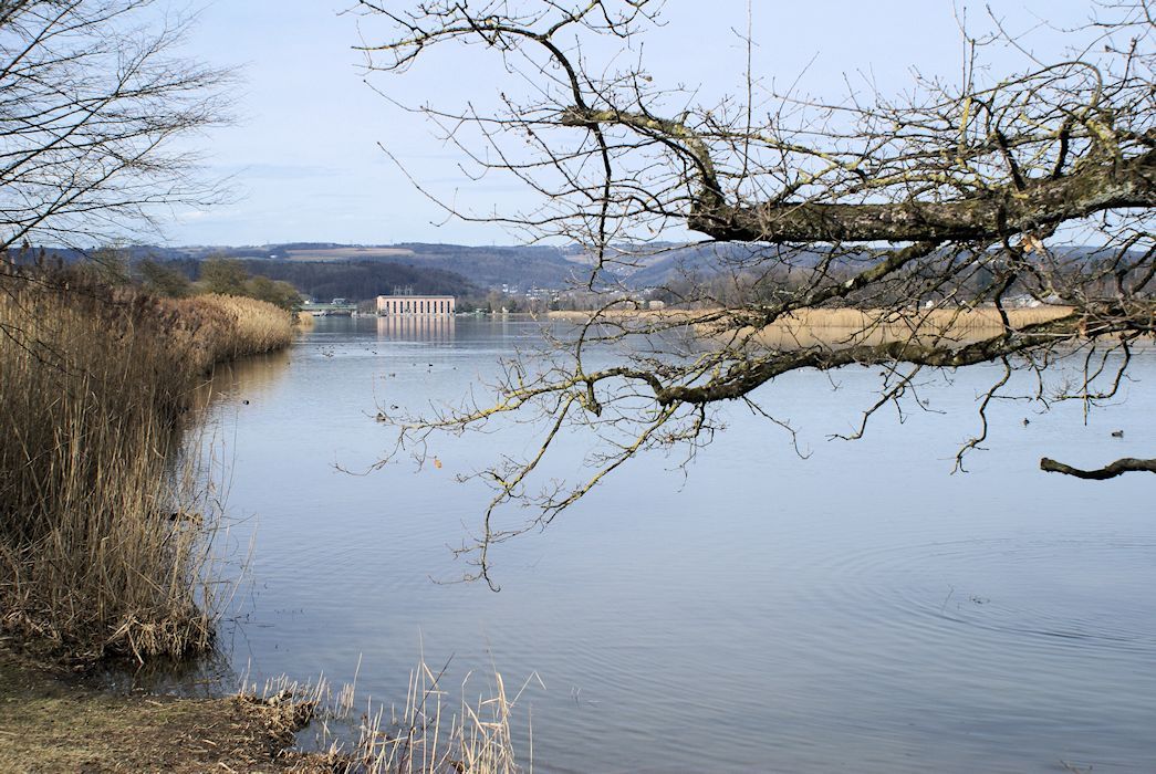 Naturschutzverein Ebnat-Kappel und Nesslau