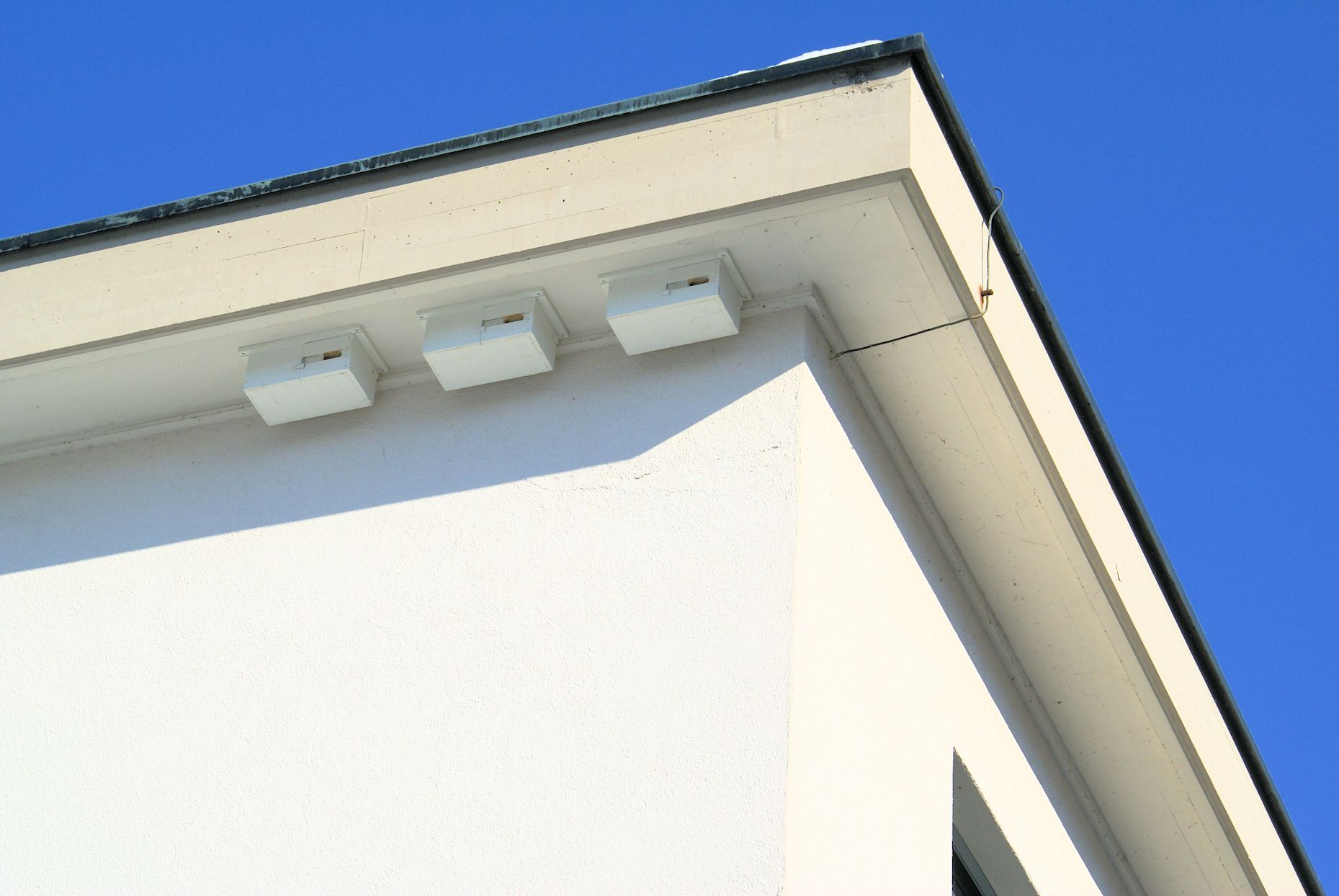 Naturschutzverein Ebnat-Kappel und Nesslau