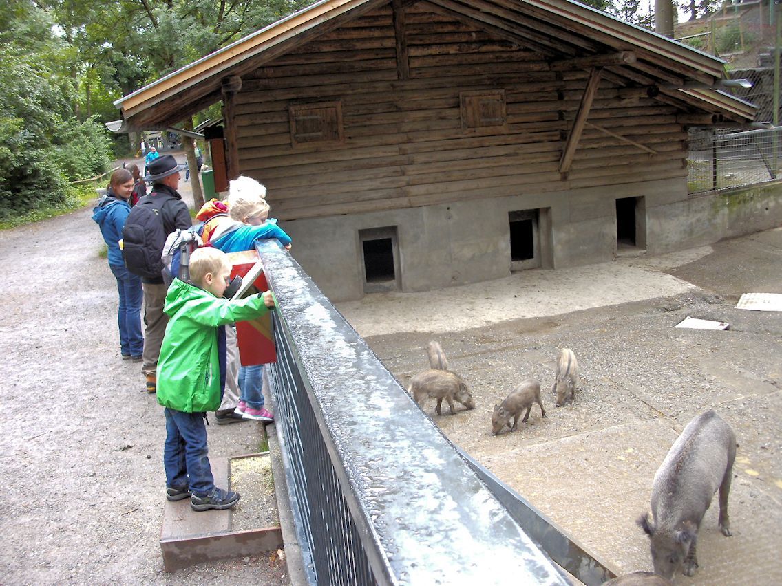 Naturschutzverein Ebnat-Kappel und Nesslau