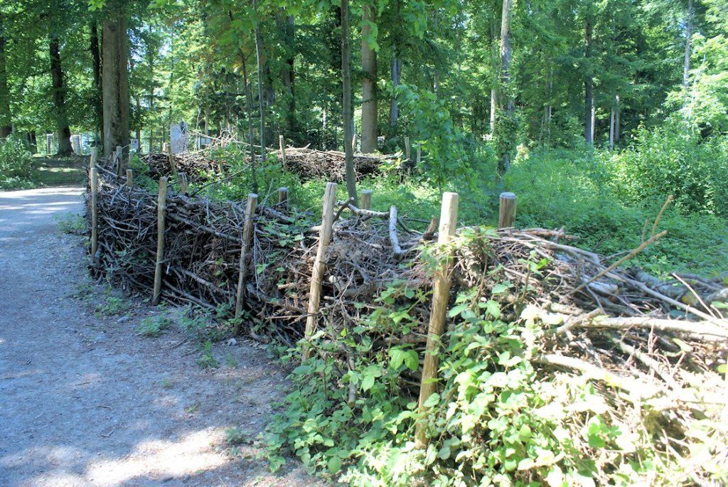 Naturschutzverein Ebnat-Kappel und Nesslau