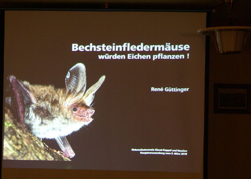 Naturschutzverein Ebnat-Kappel und Nesslau