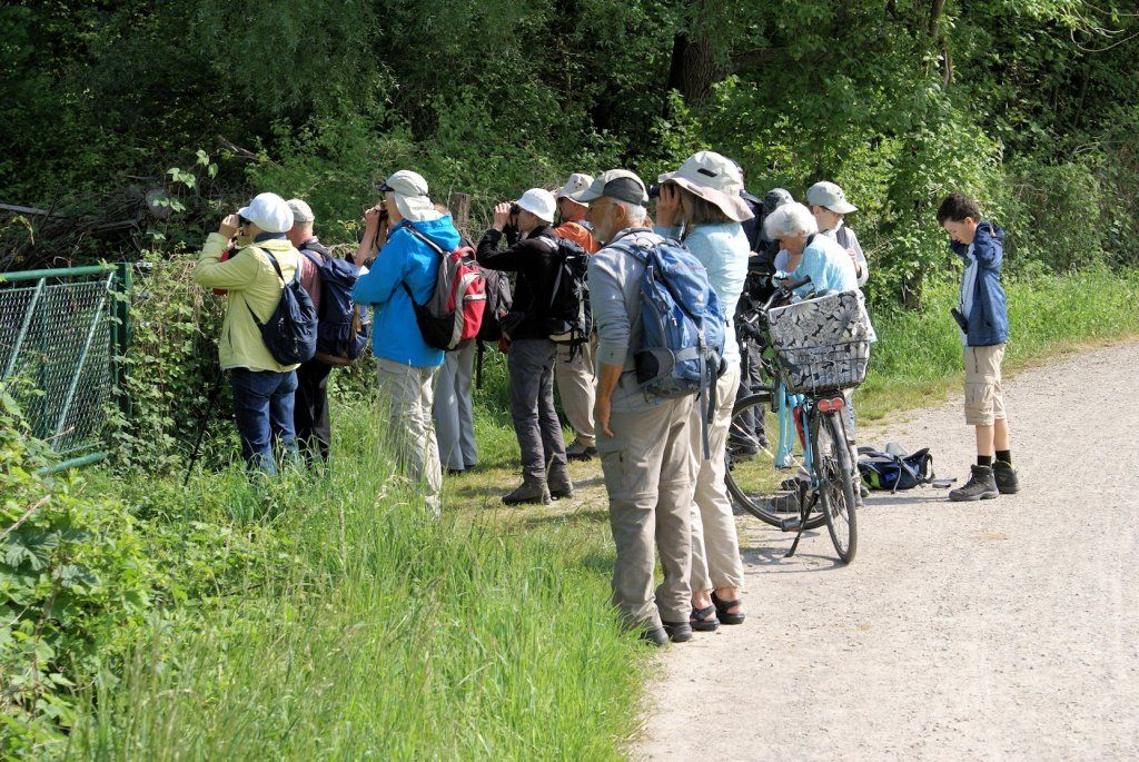 Naturschutzverein Ebnat-Kappel und Nesslau