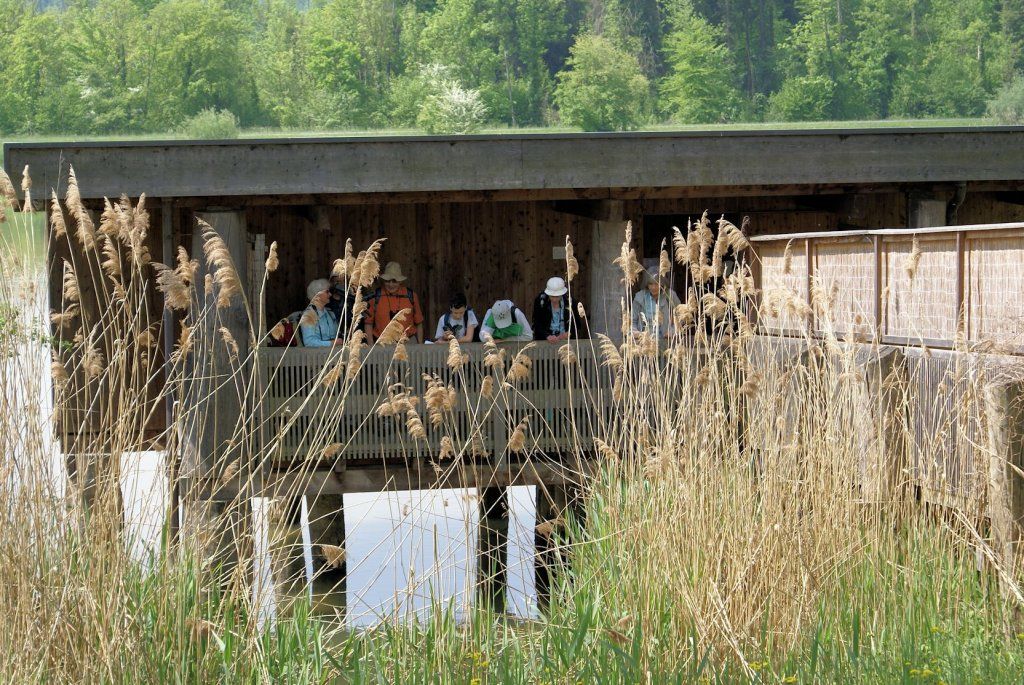 Naturschutzverein Ebnat-Kappel und Nesslau