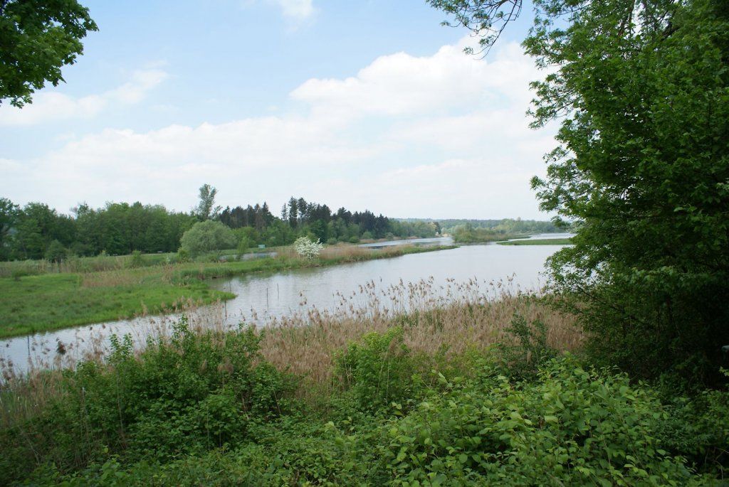 Naturschutzverein Ebnat-Kappel und Nesslau
