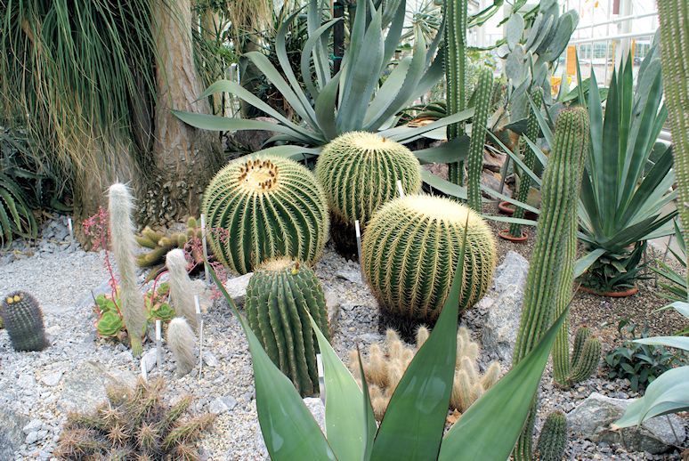 Naturschutzverein Ebnat-Kappel und Nesslau