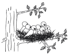 VZW Het Mezennestje nav logo