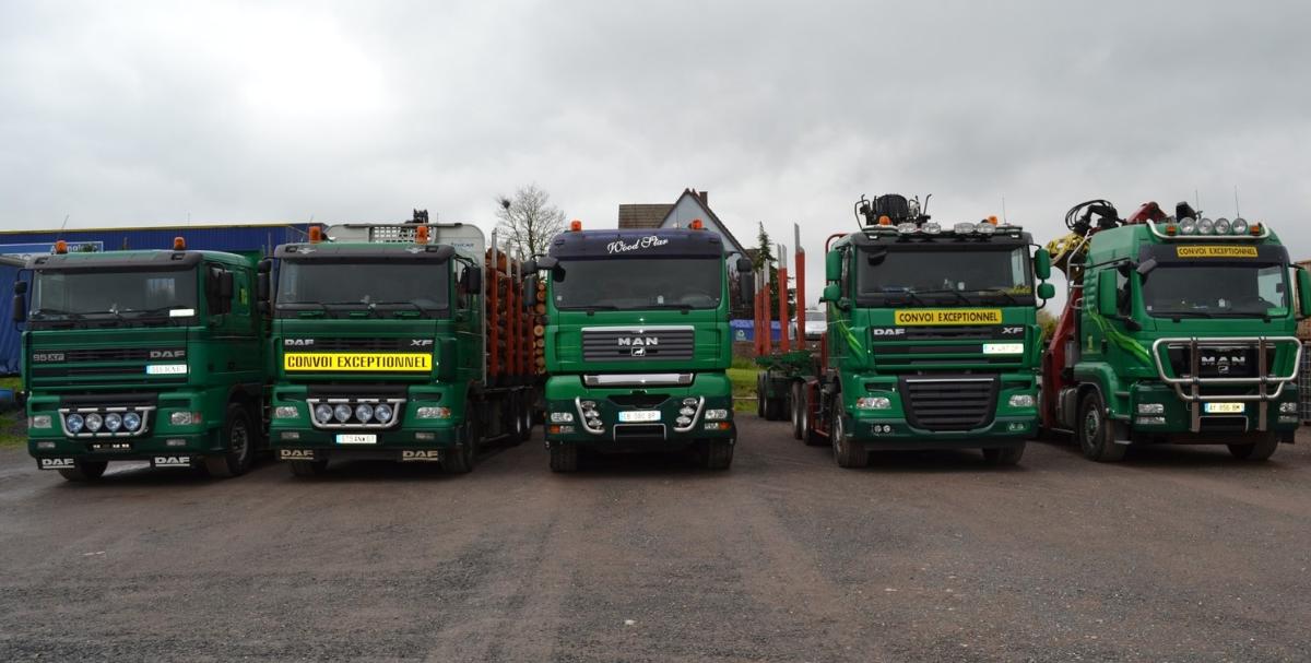 Transport de bois en grumes, billons, bois sciés, quartier 1m