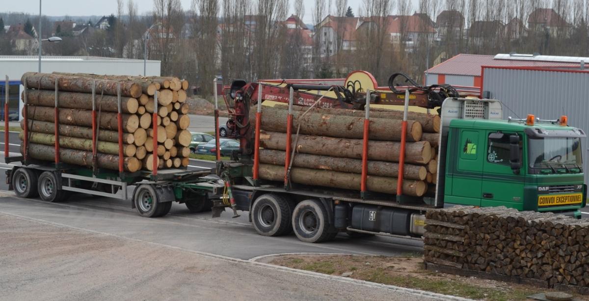 transport de bois