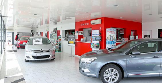 Conseils personnalisés - Vente de véhicules