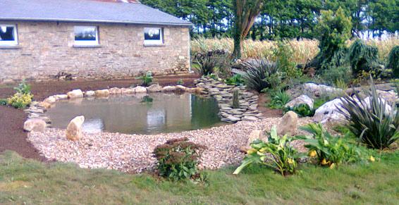 Abelia Paysages peut intégrer un bassin à votre jardin