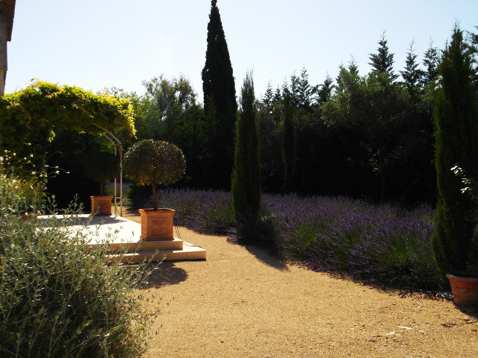 Jardin dans les Alpilles