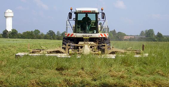 Fauchage d'herbe STARM