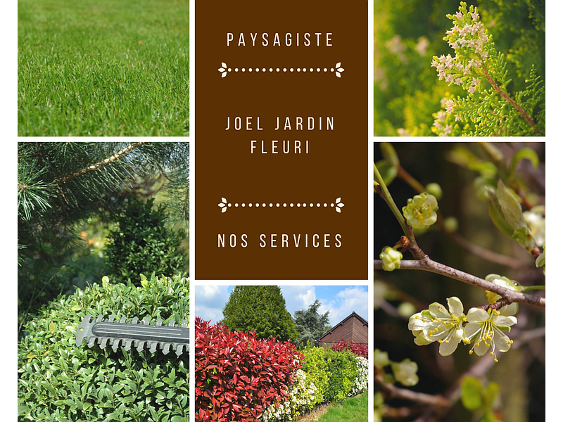 Jardin aménagement