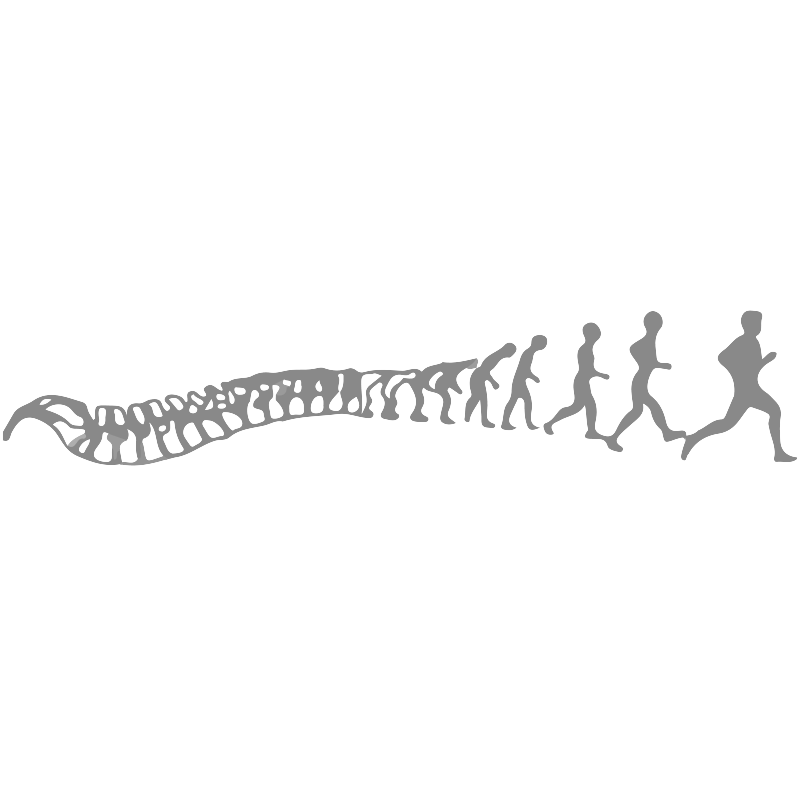 Luc Laenen Kine footer logo