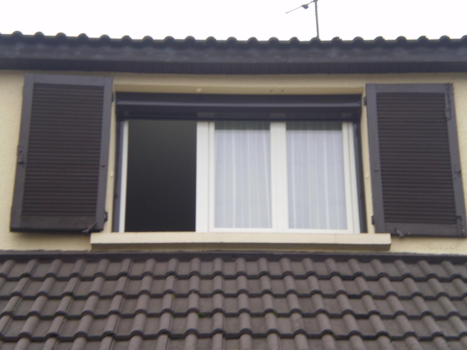 VOLETS ROULANTS MOTORISE SERRURERIE LV2M  (94)