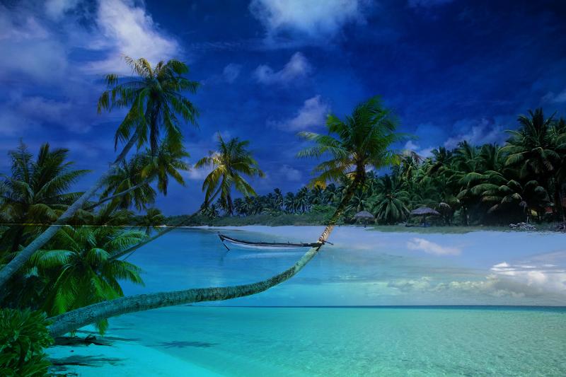 Une care postale avec des cocotiers