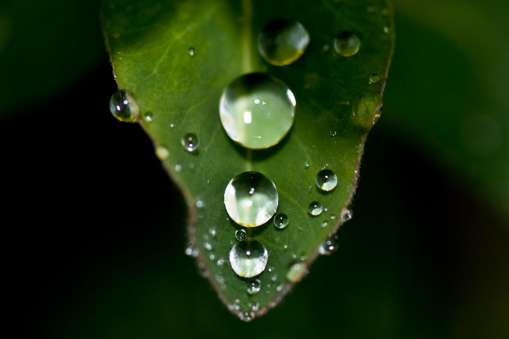 Magnétiseur Calvados