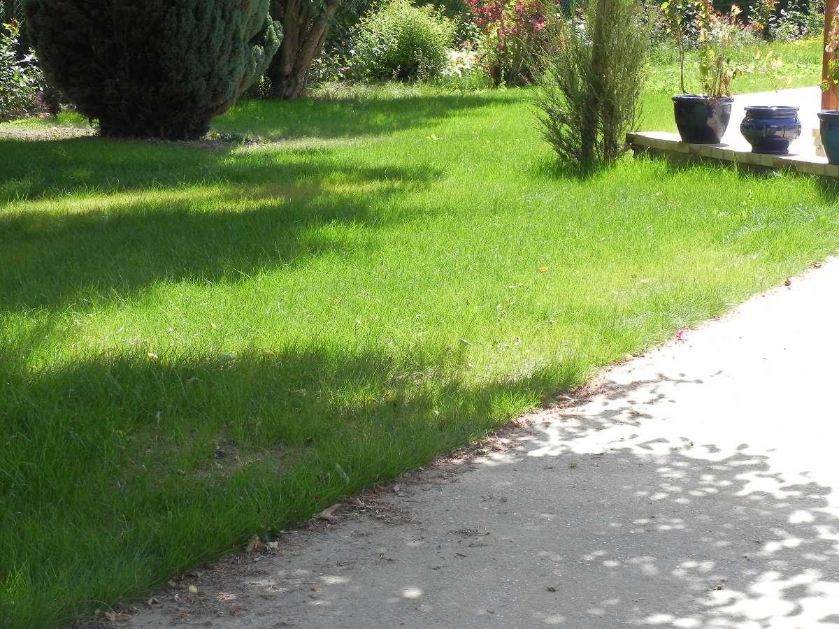 Aménagement parterre de jardin après