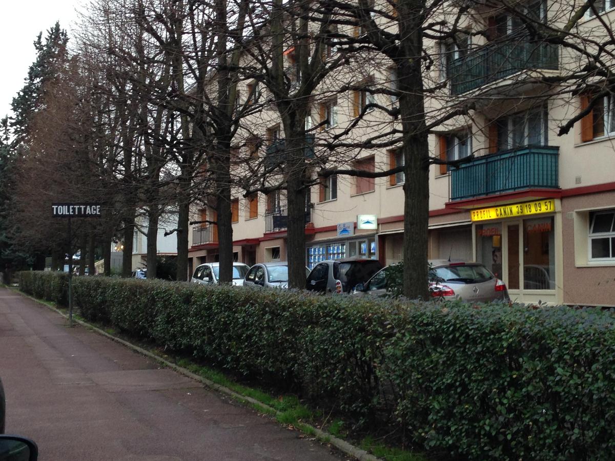 SALON DE TOILETTAGE DEPLACEMENT A DOMICILE