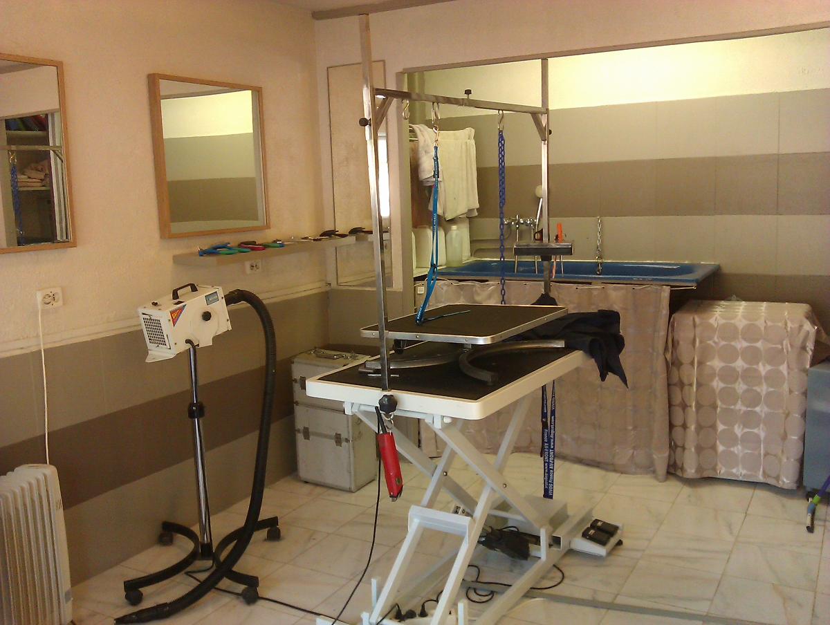 Salon de toilettage - Profil Canin à La Celle-Saint-Cloud dans les Yvelines (78)