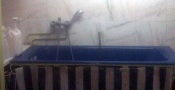 Artisan toiletteur Profil Canin la Celle Saint Cloud 78