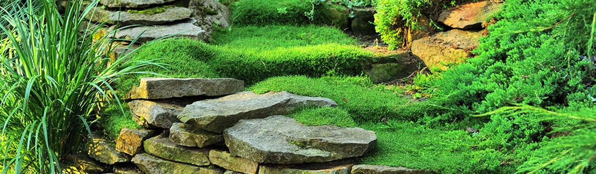 Aménagement paysager