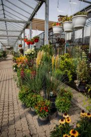 PflanzenCenter Heuver Marl Gärtner und Floristen
