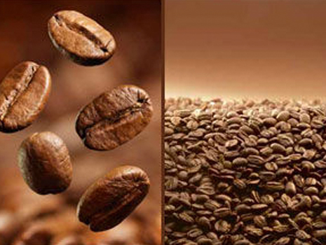 comprar café lisboa