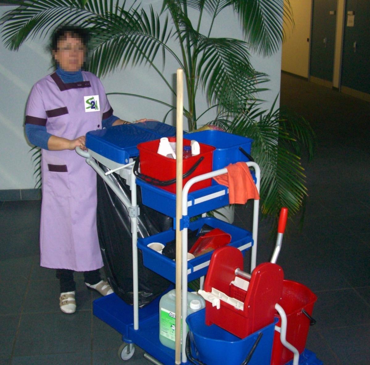 Agent de service S2N