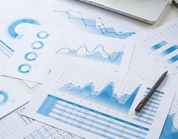 הכנת דוחות מאזנים לביקורות 