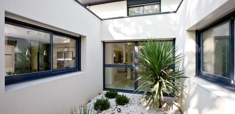 Fenêtre aluminium donnant sur une cour intérieure avec un palamier