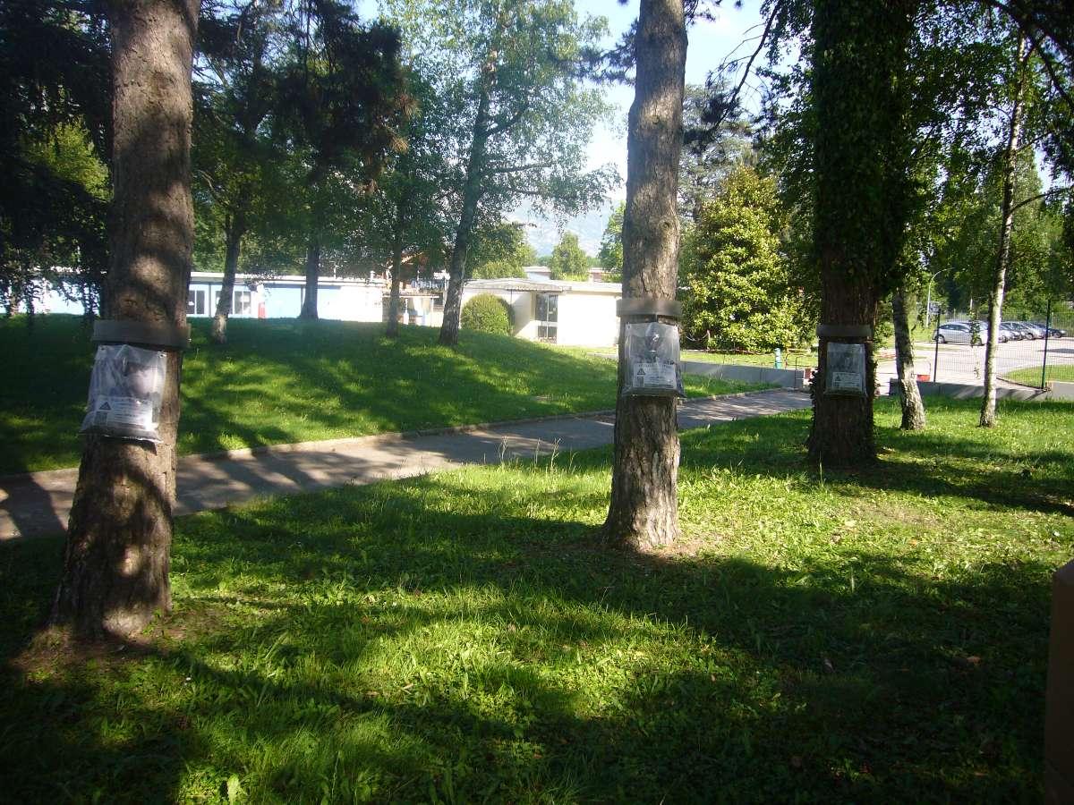 Services Nuisibles Sécurisé à Sérézin-de-la-Tour dans l'Isère (38)