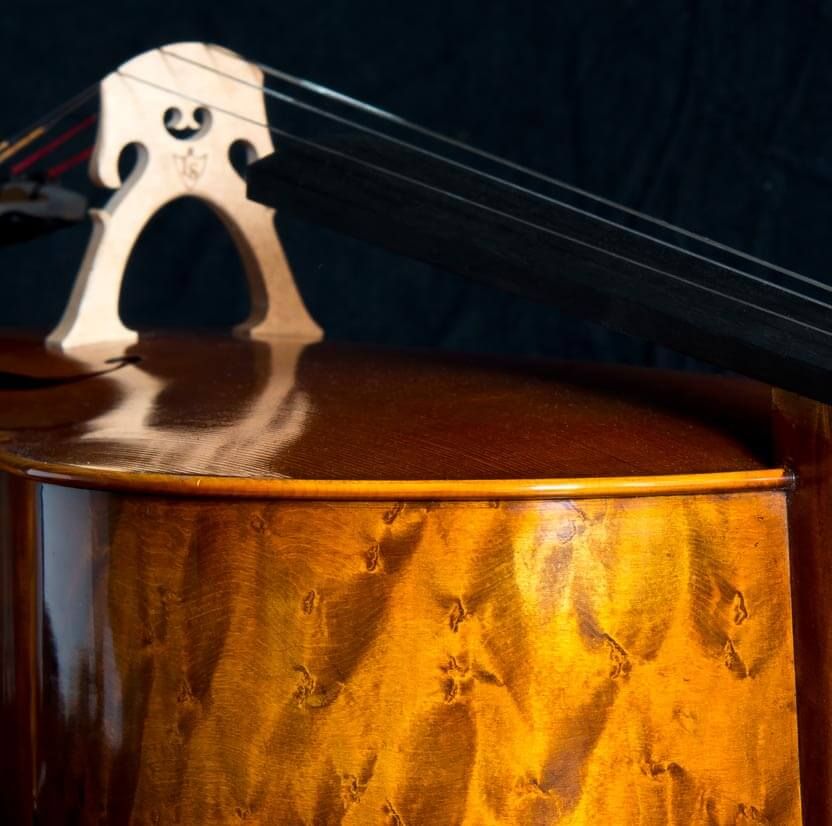 Bespoke instruments | Lothar Semmlinger Streichinstrumente