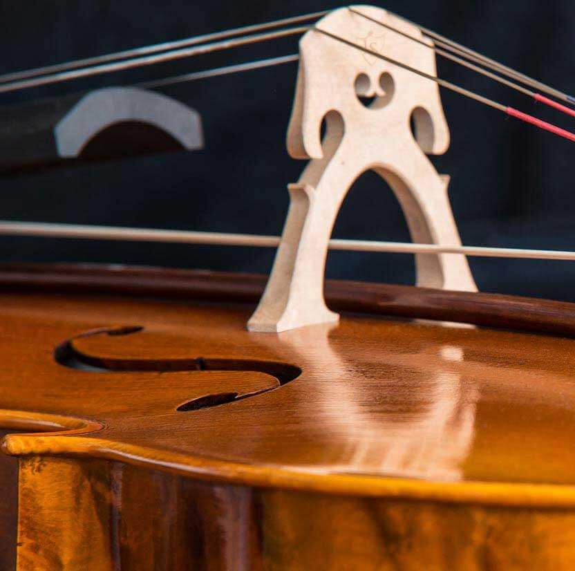 Bespoke instruments | Lothar Semmlinger Streichinstrumente